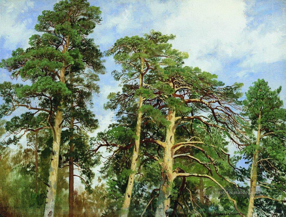 die Gipfel der Kiefern klassische Landschaft Ivan Ivanovich Bäume Ölgemälde